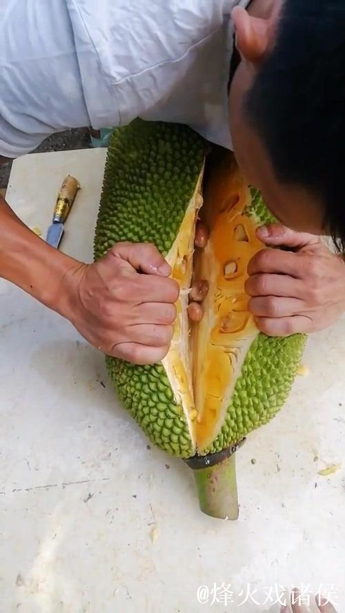 菠萝蜜免费视频 菠萝蜜免费视频