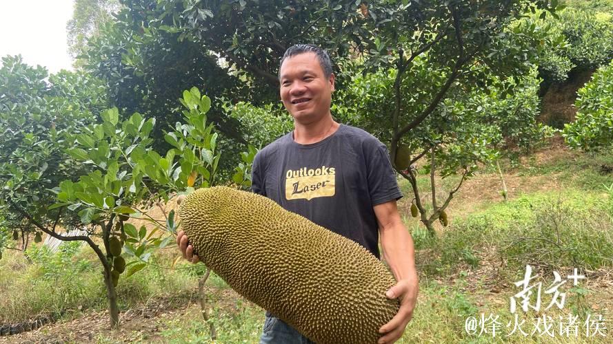 菠萝蜜免费视频 菠萝蜜免费视频